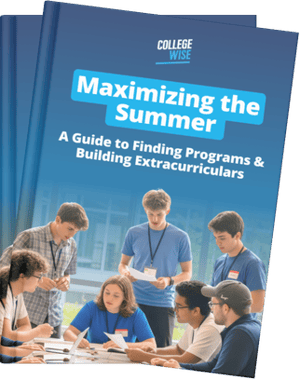 Maximizing the Summer Ebook