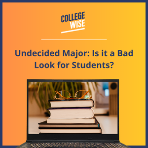 Undecided Major Is it a Bad Look for Students
