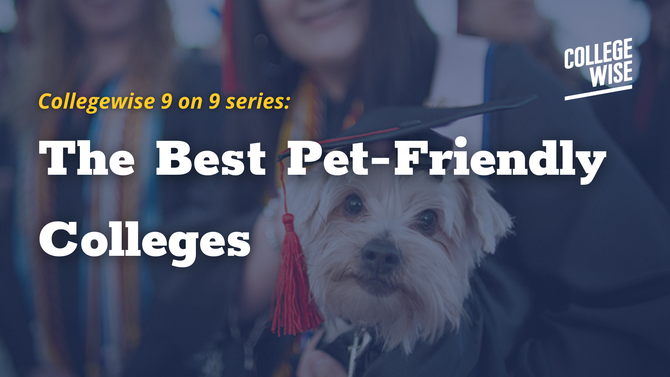 The Best Pet-Friendly Colleges